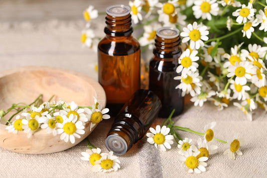 A relaxing setup with essential oil bottles and fresh chamomile flowers