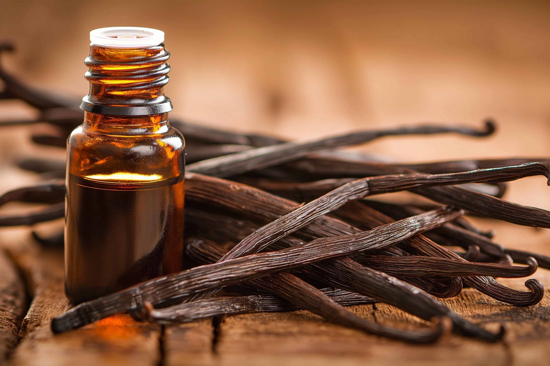 pyurvana essential oil in a bottle near dried branches