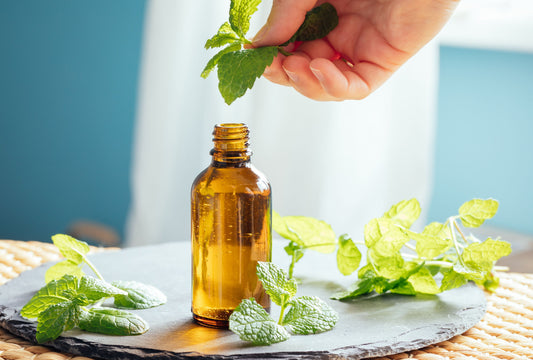 Carrier Oils 101: Choosing the Best Base Oil for Your Essential Oil Blends