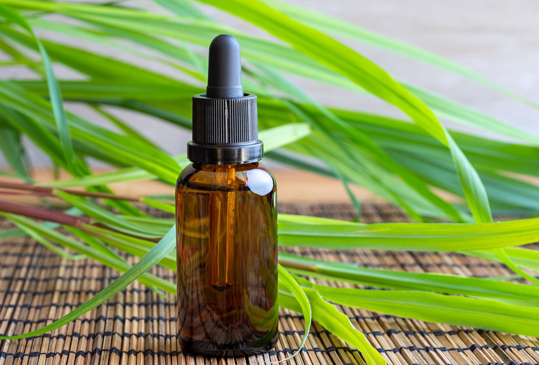How to Use Essential Oils to Repel Insects Naturally