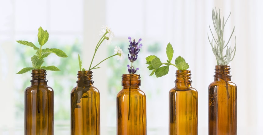 glass bottles with different plant leaves on it