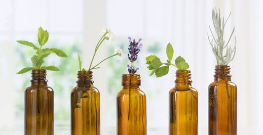 glass bottles with different plant leaves on it