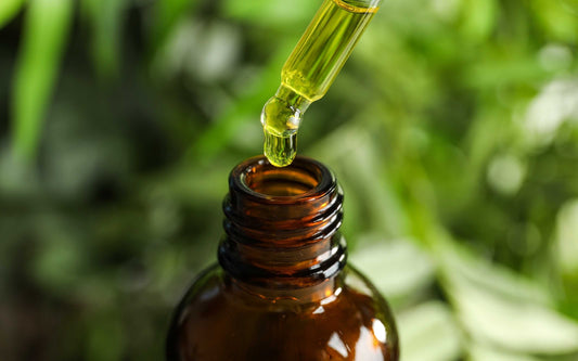 Dropper releasing yellow liquid into a brown glass bottle, set against a blurred green botanical background.