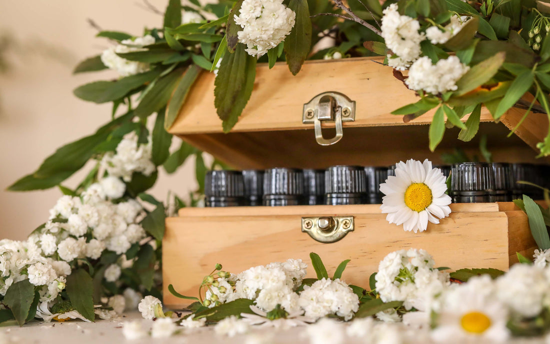 How to Store Essential Oils Properly to Preserve Their Potency