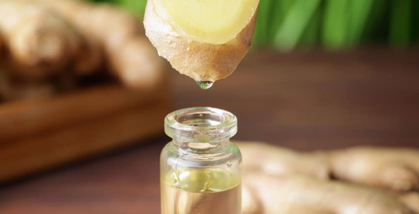 pyurvana ginger essential oil being dropped in a bottle from ginger